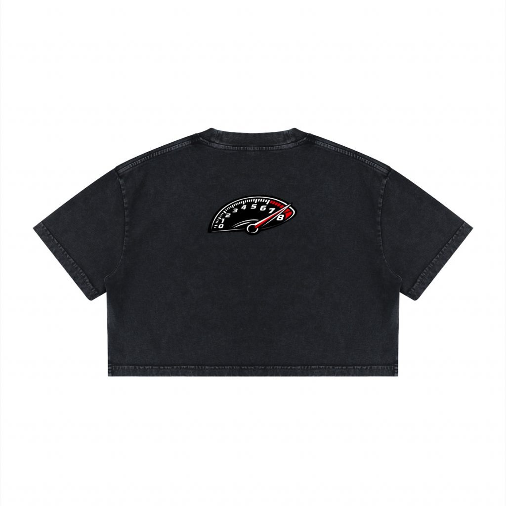 Women's 86'd Racer Mineral Wash Cotton Crop T-Shirt view 2