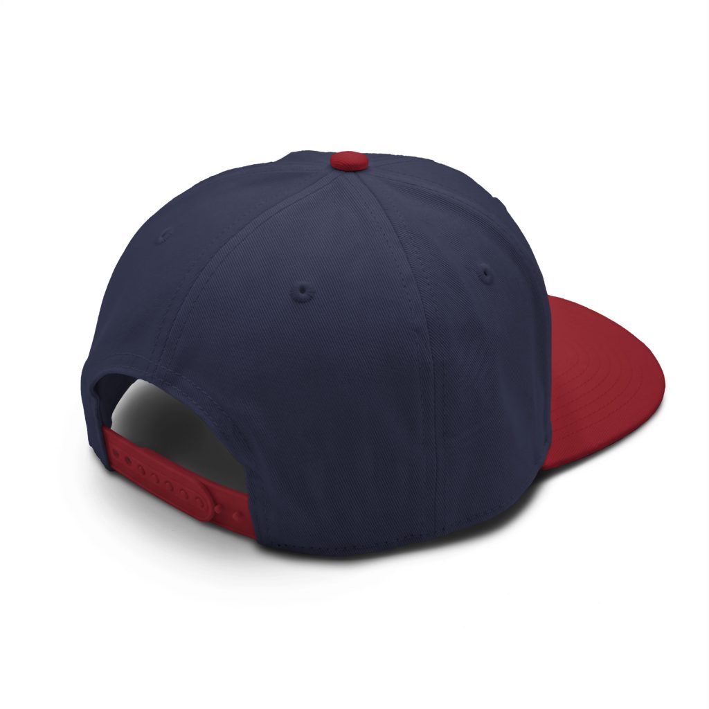 86'd Racer 2-Tone Cap view 4
